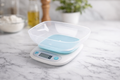 Electronic Food Scale